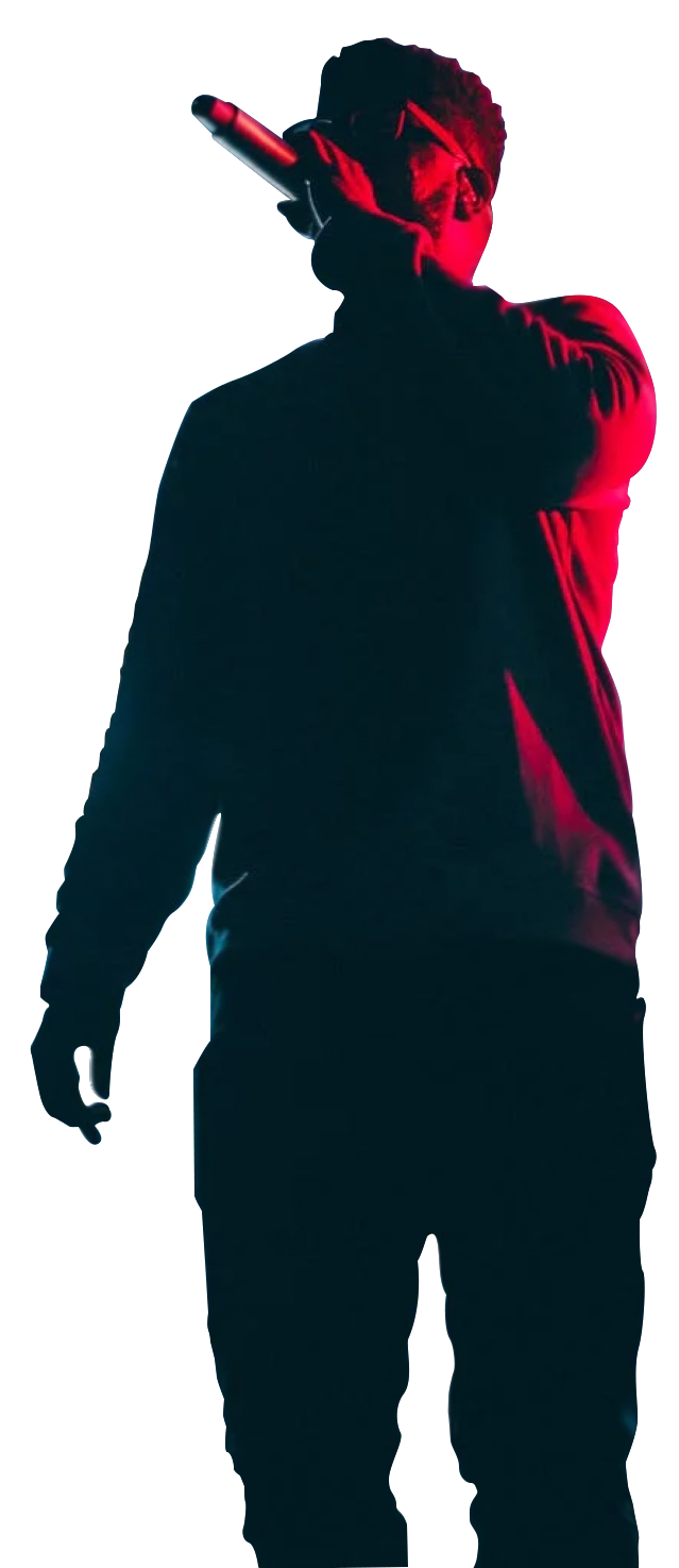 illustration of banner singer